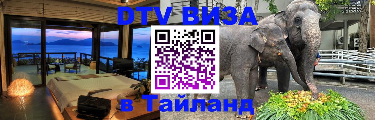 Сколько стоит DTV виза — актуальные цены, оформление даже без документов - 21.11.2025 